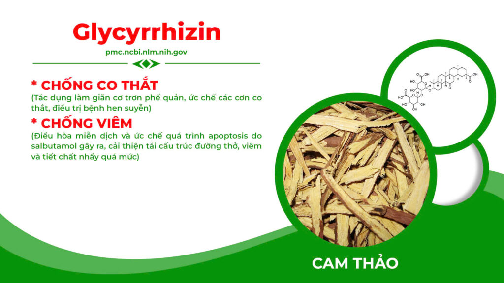 Thành phần hoá học có trong dược liệu 
