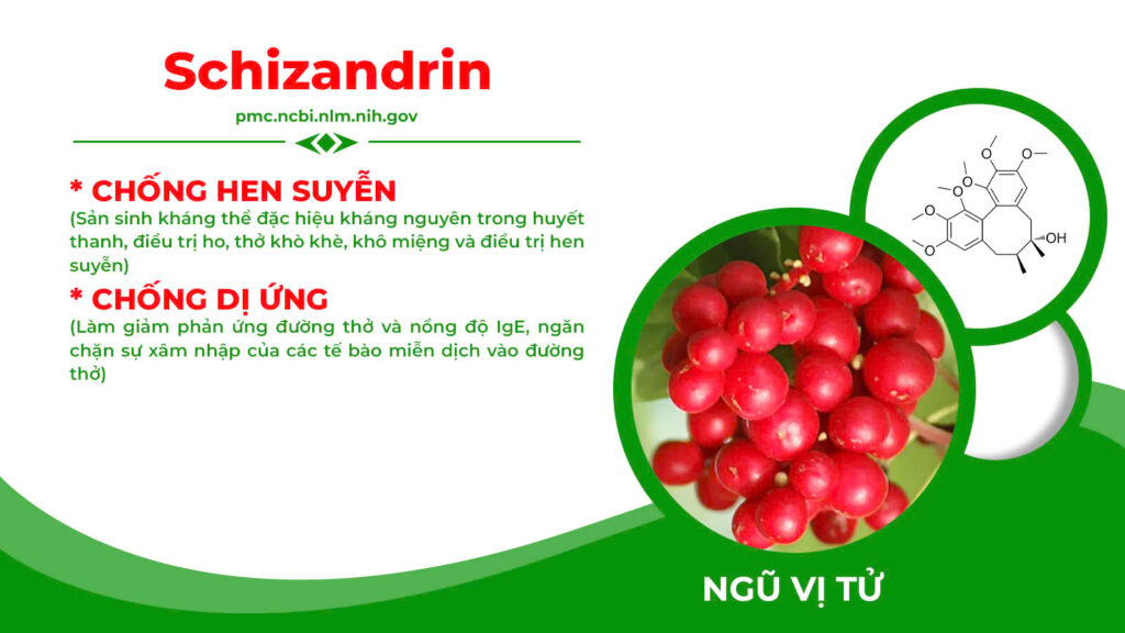 Thành phần hoá học có trong dược liệu 