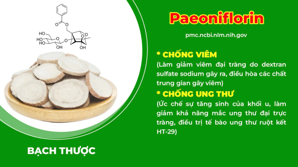 Thành phần hoá học đại tràng ống 