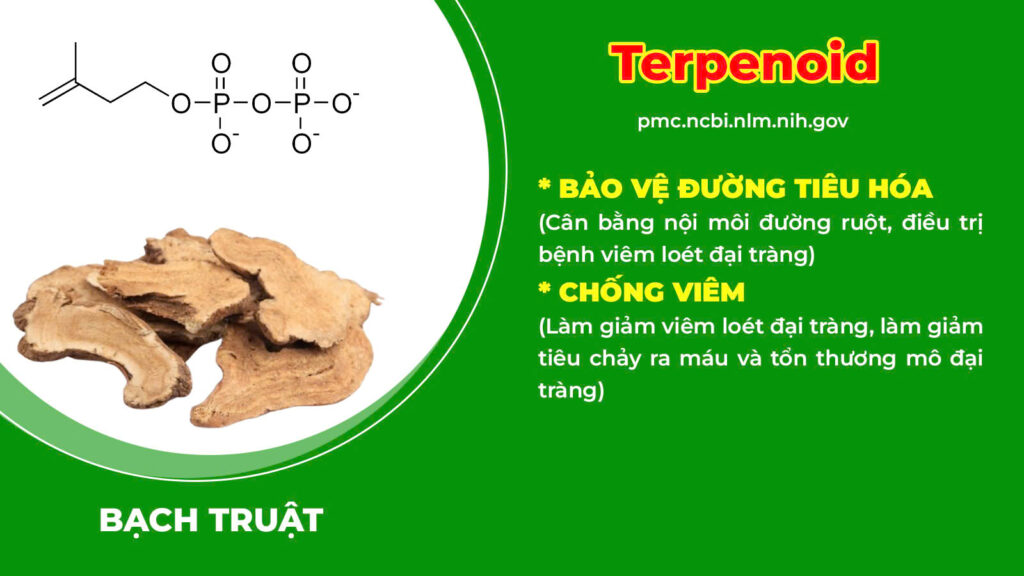 Thành phần hoá học đại tràng ống 
