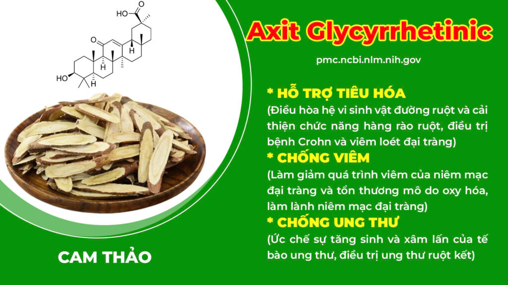 Thành phần hoá học đại tràng ống 