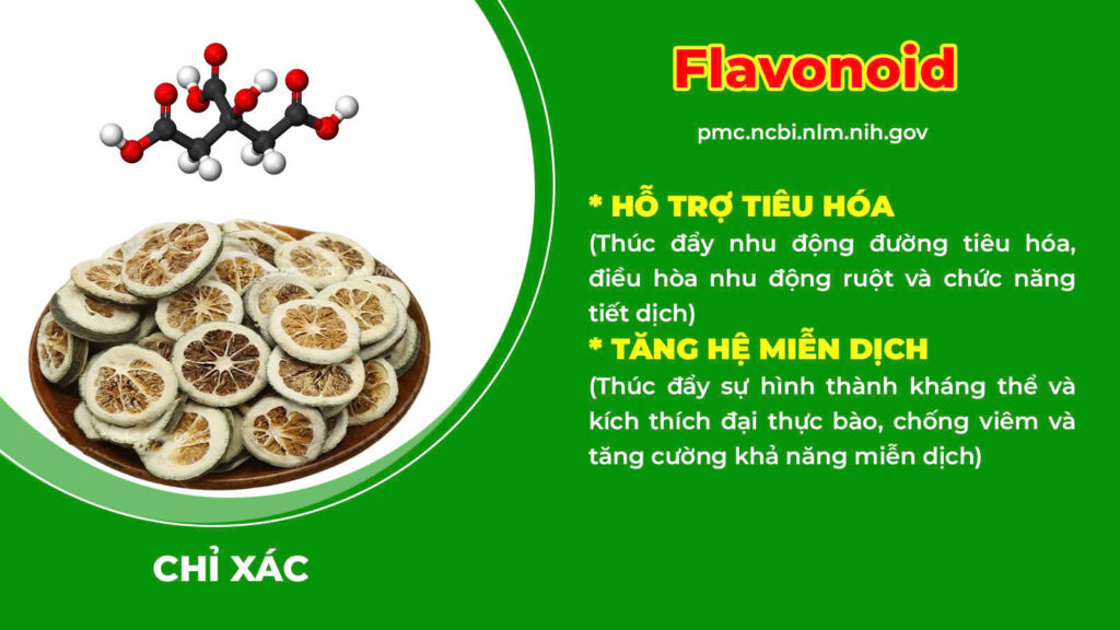 Thành phần hoá học đại tràng ống 
