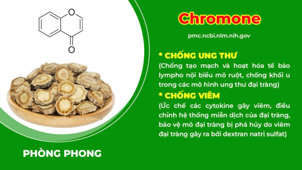 Thành phần hoá học đại tràng ống 