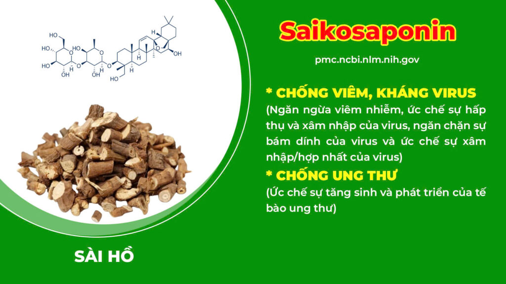 Thành phần hoá học đại tràng ống 