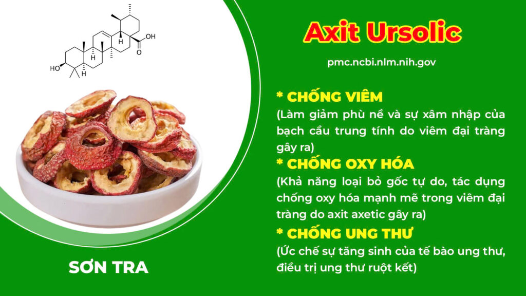 Thành phần hoá học đại tràng ống 