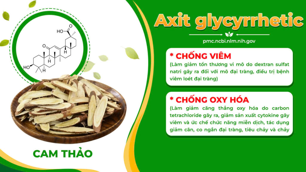 Thành phần hoá học đại tràng vỉ