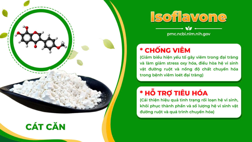 Thành phần hoá học đại tràng vỉ