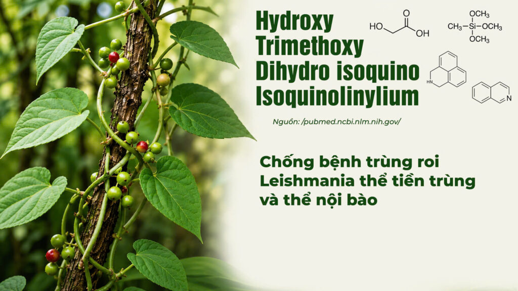 Thành phần hoá học dây đau xương 