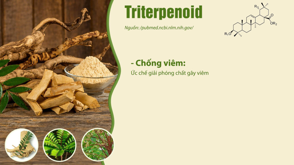 Thành phần hóa học dược liệu bách bệnh