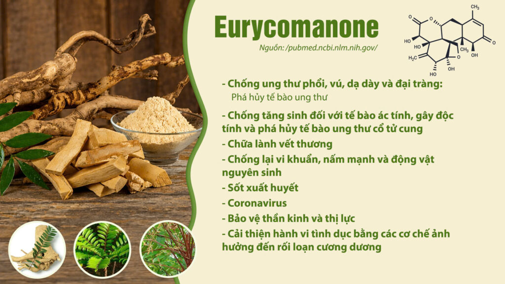 Thành phần hóa học dược liệu bách bệnh