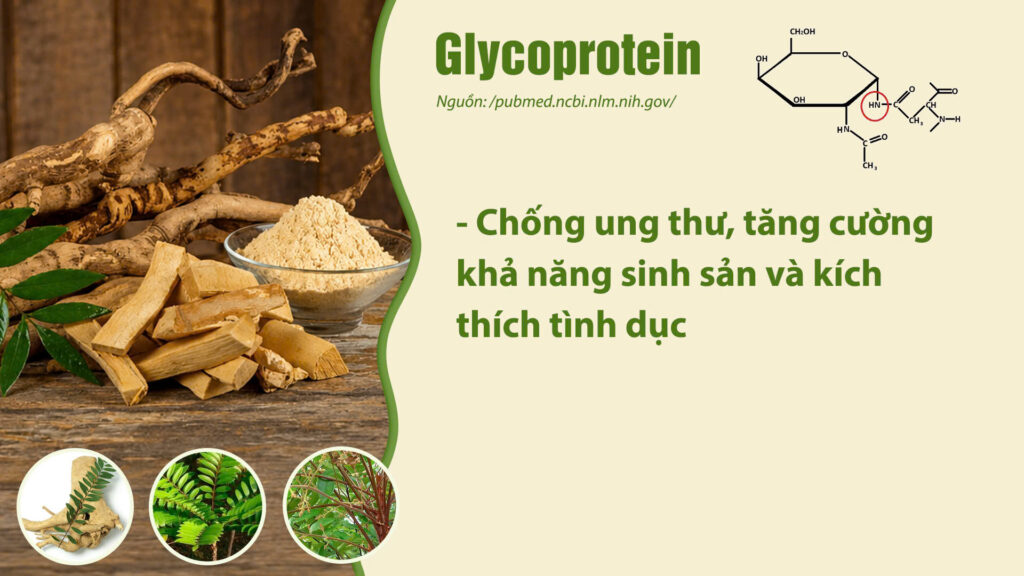 Thành phần hóa học dược liệu bách bệnh