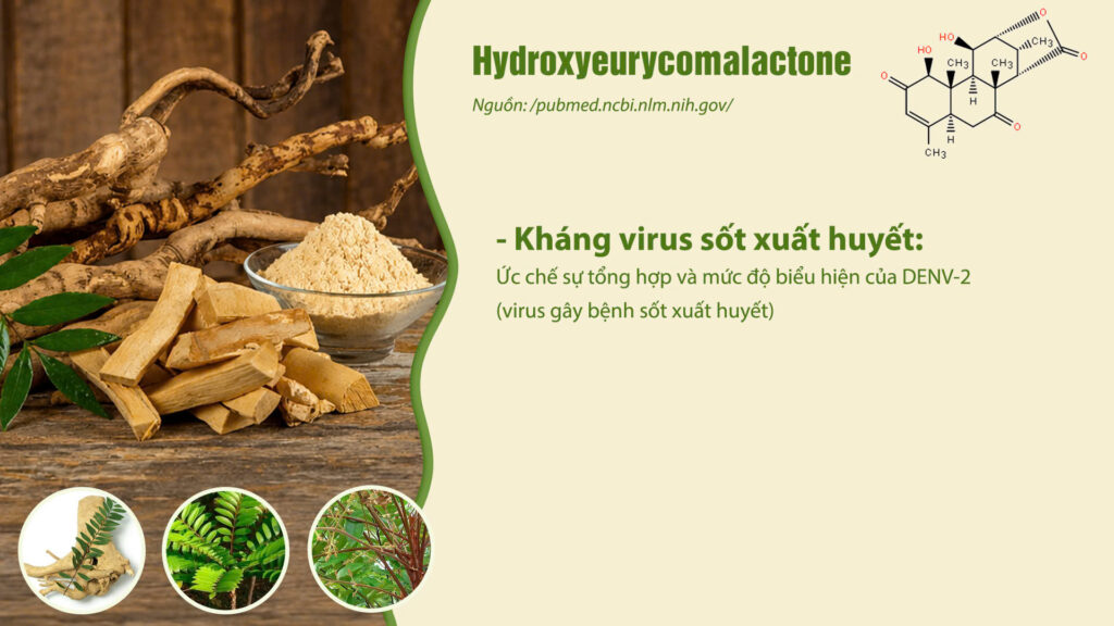 Thành phần hóa học dược liệu bách bệnh