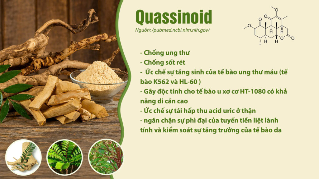 Thành phần hóa học dược liệu bách bệnh