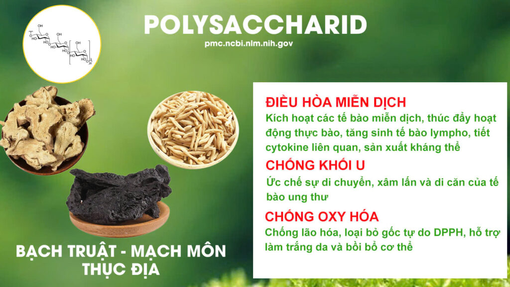 Thành phần hoá học lợi sữa