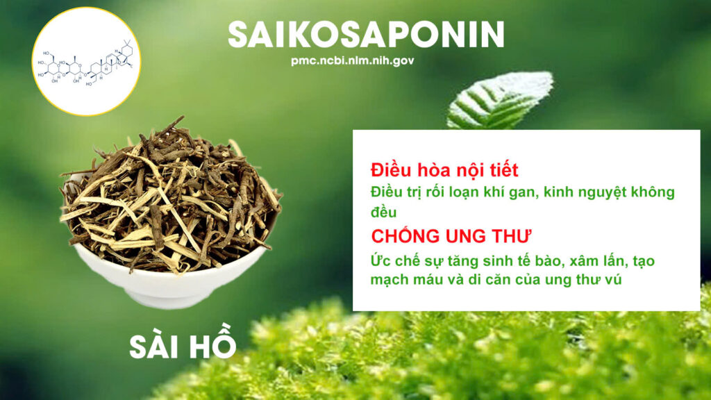 Thành phần hoá học lợi sữa