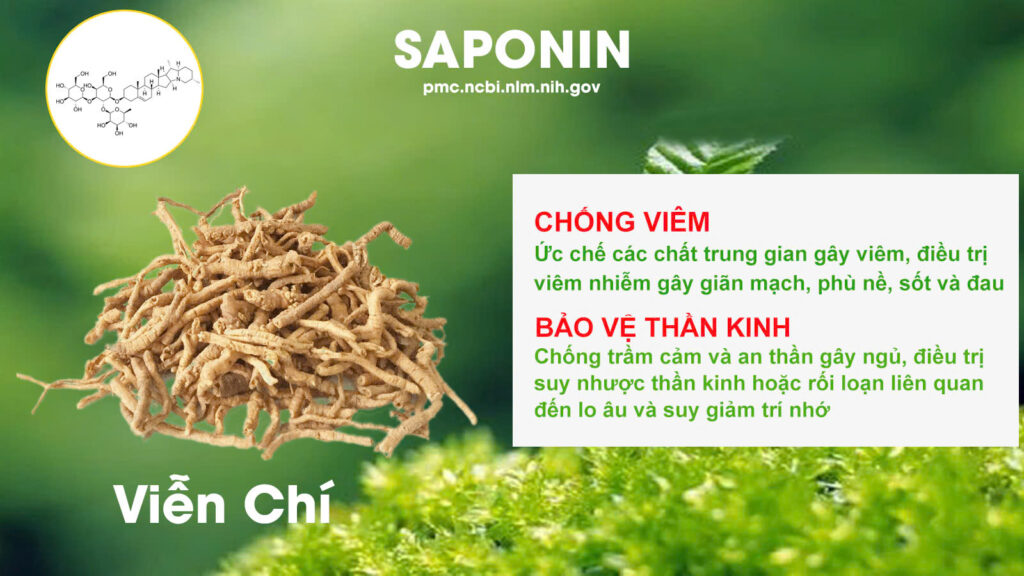 Thành phần hoá học lợi sữa