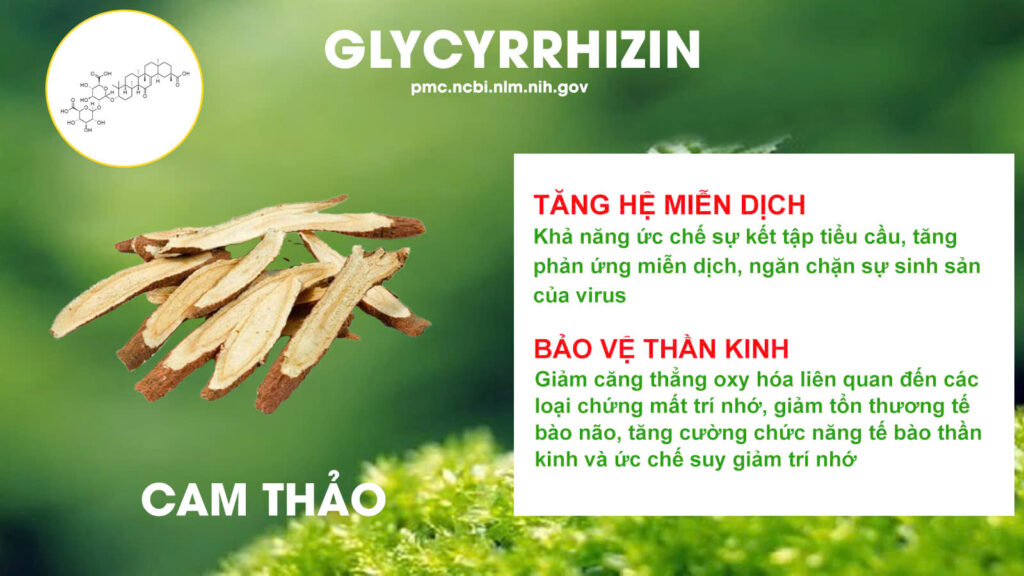 Thành phần hoá học lợi sữa