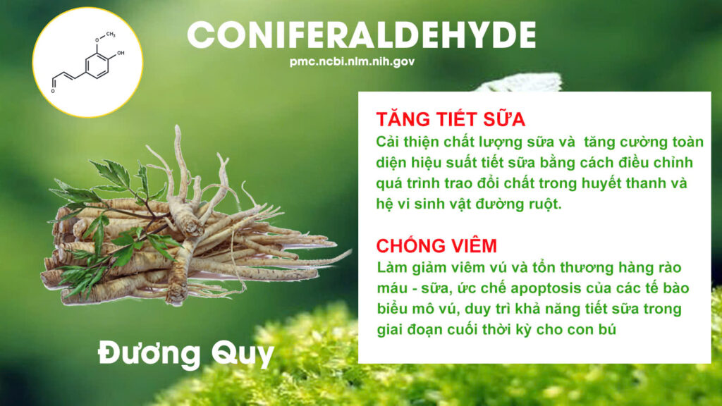Thành phần hoá học lợi sữa