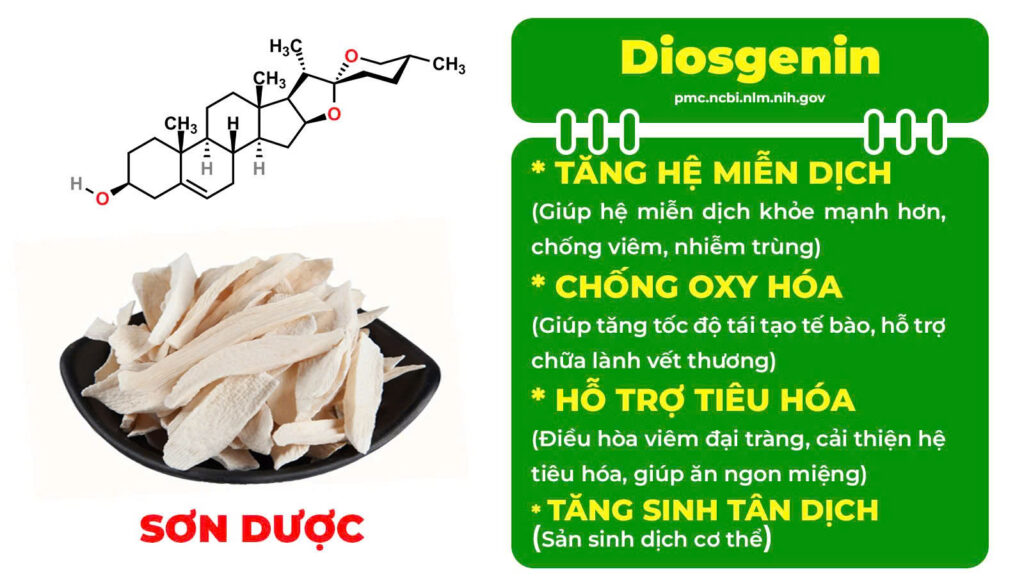 Thành phần hoá học mệnh môn thuỷ