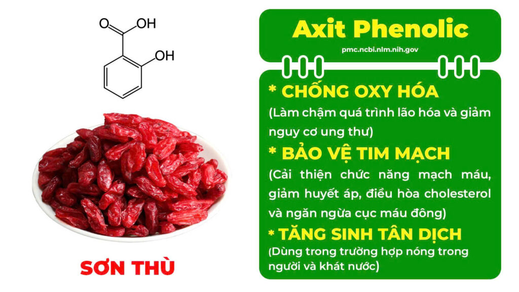 Thành phần hoá học mệnh môn thuỷ