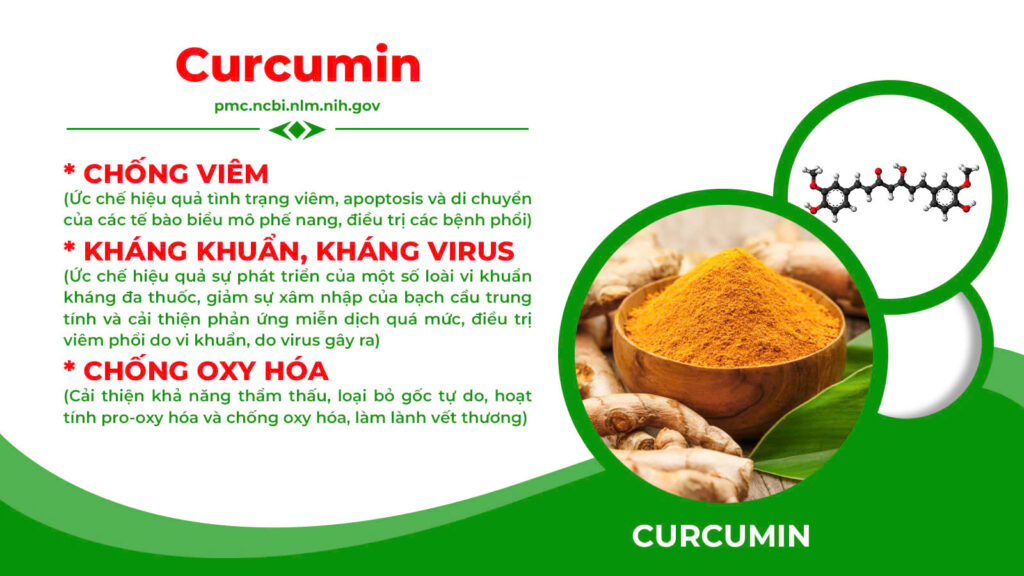 Thành phần hoá học nonal bổ phế 