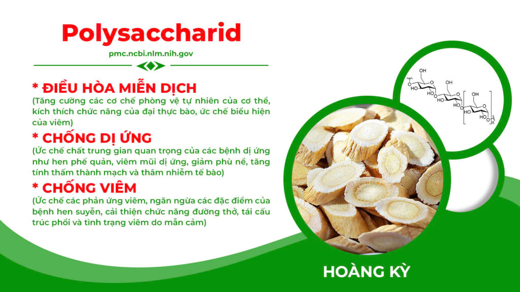 Thành phần hoá học nonal bổ phế 