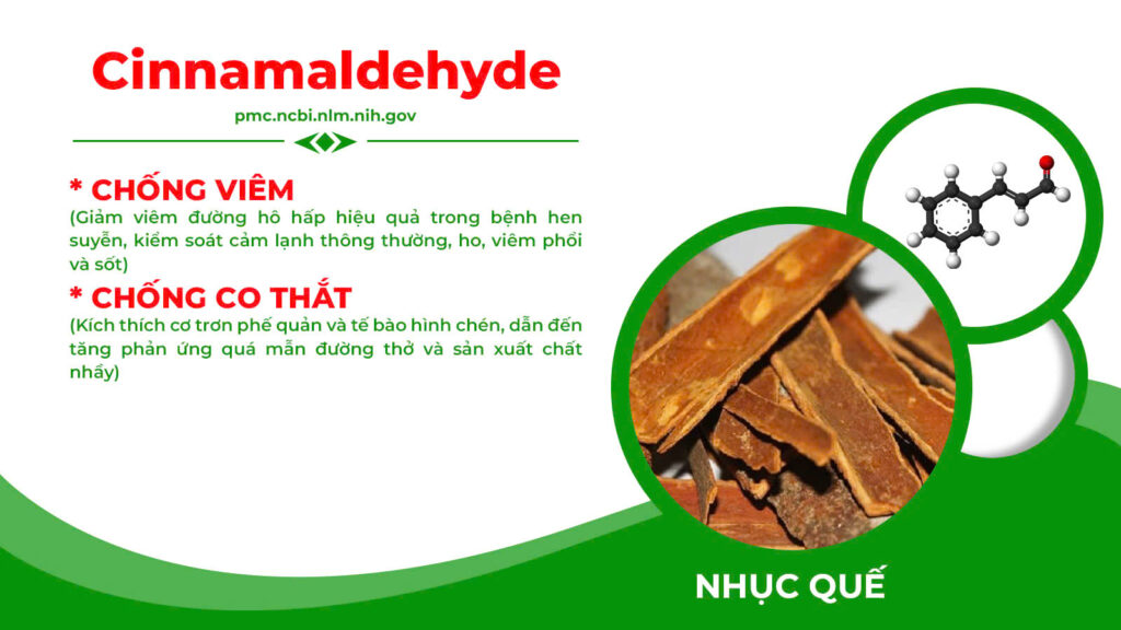 Thành phần hoá học nonal bổ phế 
