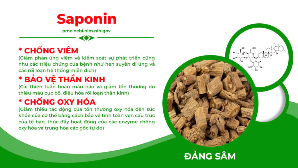 Thành phần hoá học nonal bổ phế