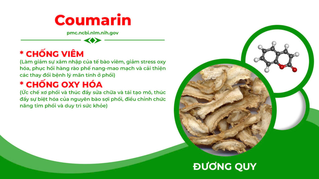 Thành phần hoá học nonal bổ phế