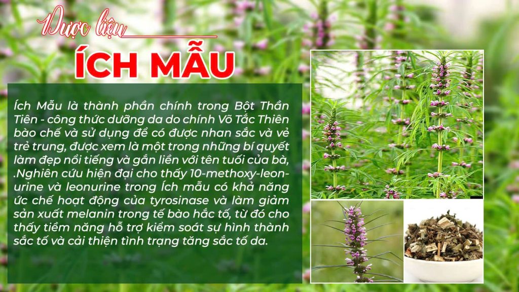 Dược phẩm PQA