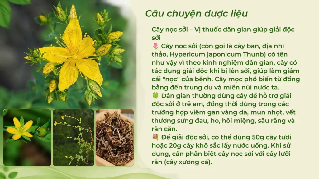 Dược liệu ban