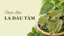 Lá dâu tằm