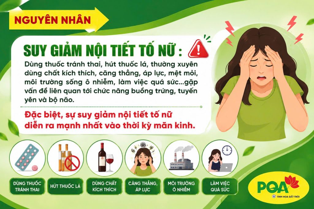 Nguyên nhân gây nên rối loạn nội tiết tố nữ - PQA Mật nhân
