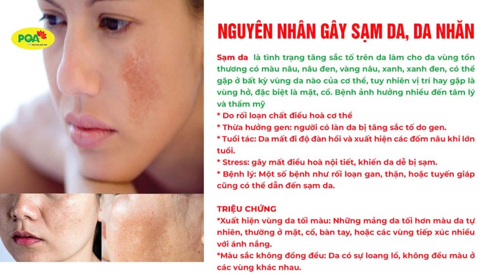 Dược phẩm PQA
