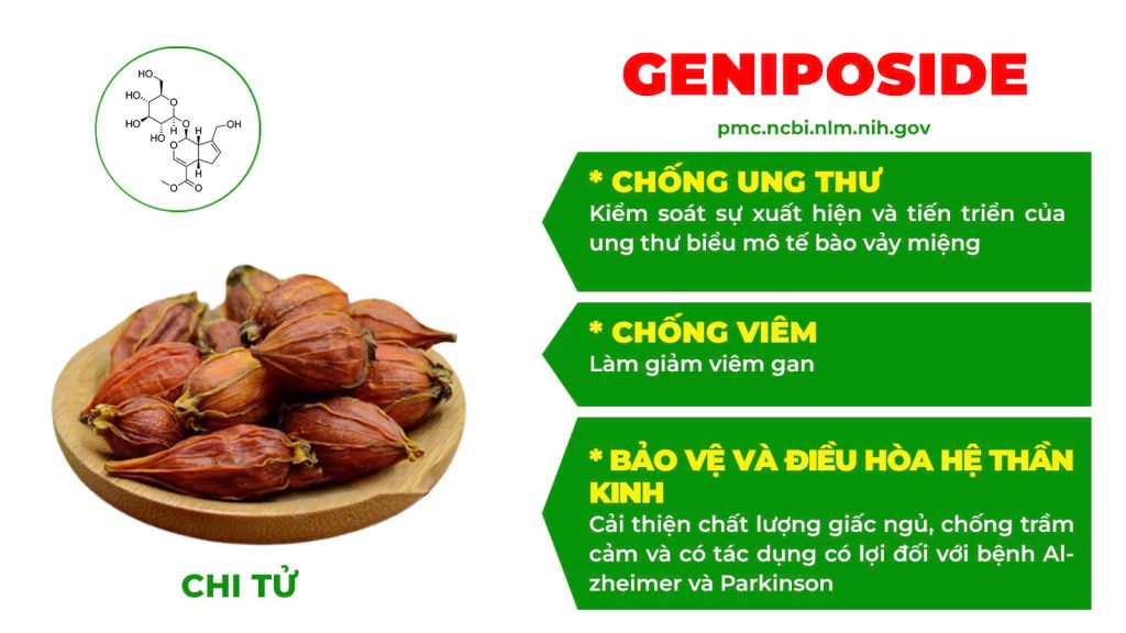 Dược phẩm PQA