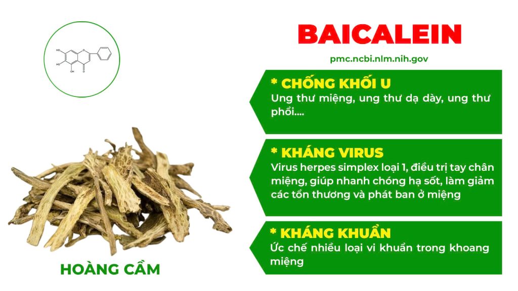 Dược phẩm PQA