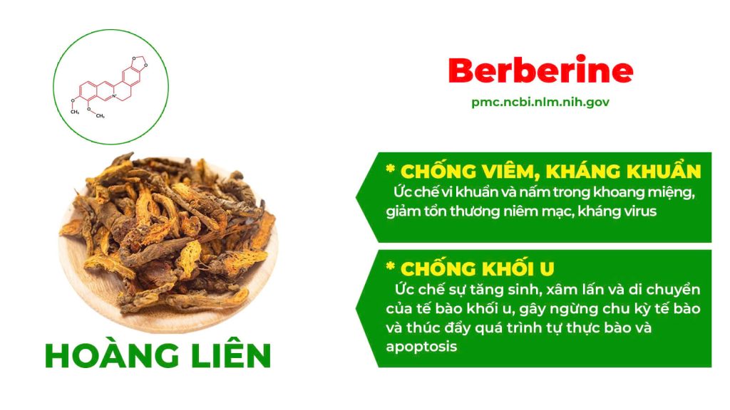 Dược phẩm PQA