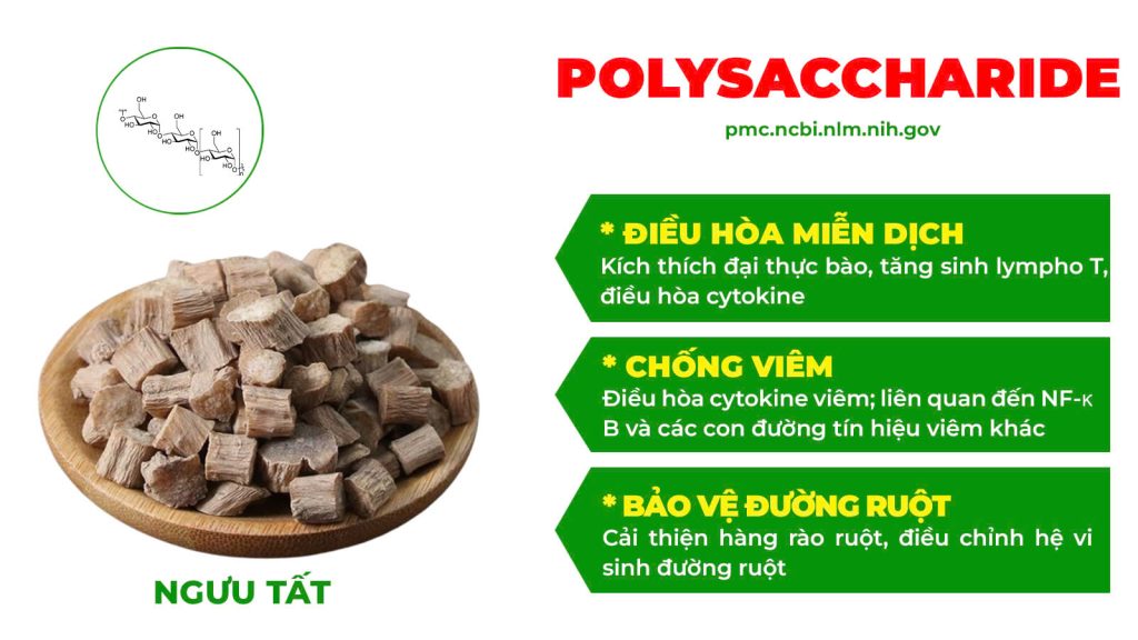 Dược phẩm PQA