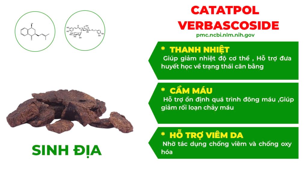 Dược phẩm PQA