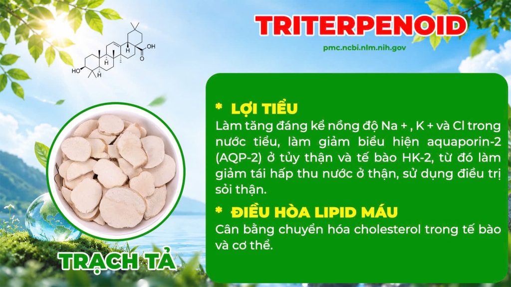 Dược phẩm PQA