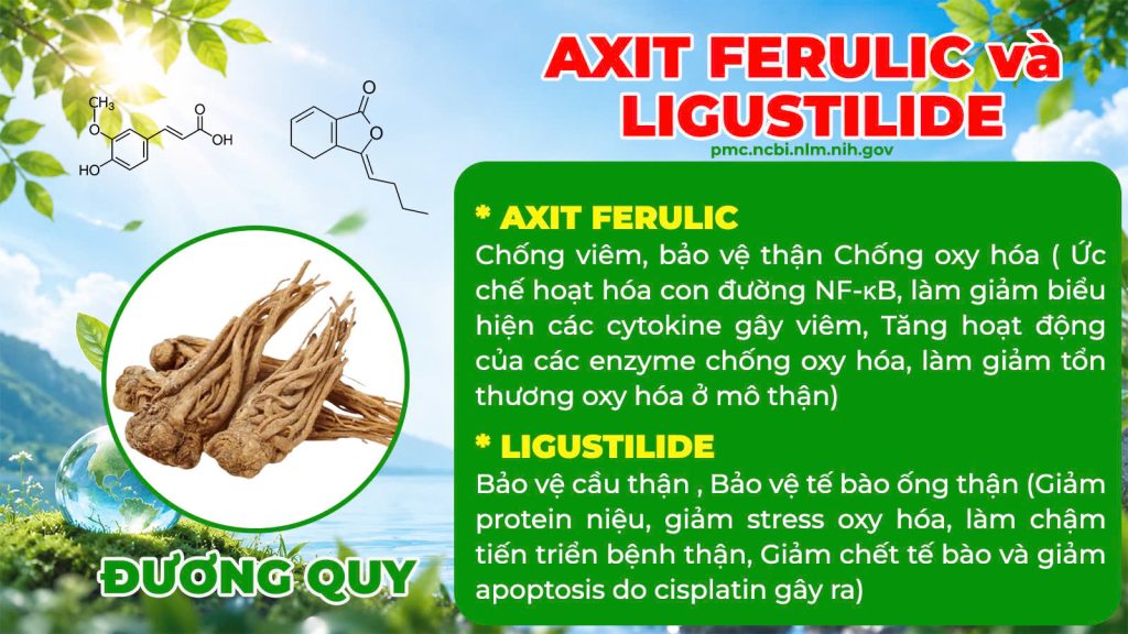 Dược phẩm PQA