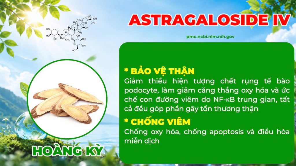 Dược phẩm PQA