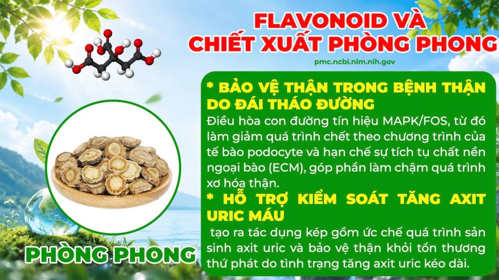 Dược phẩm PQA