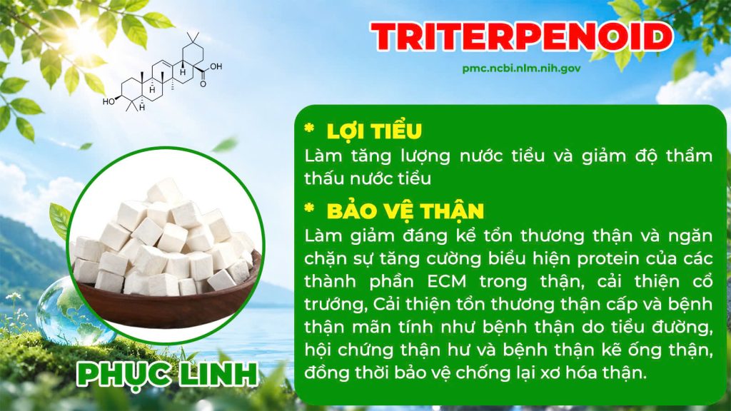 Dược phẩm PQA
