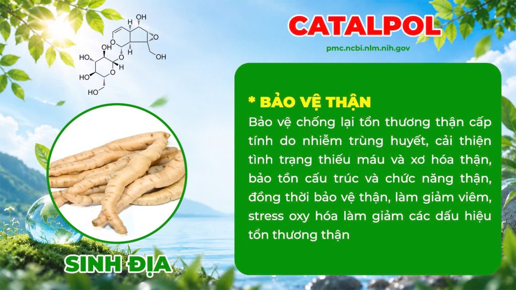 Dược phẩm PQA