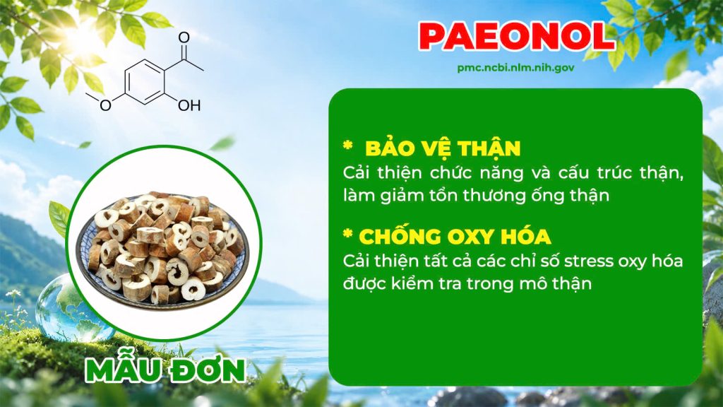 Dược phẩm PQA