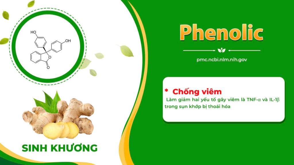 Dược phẩm PQA