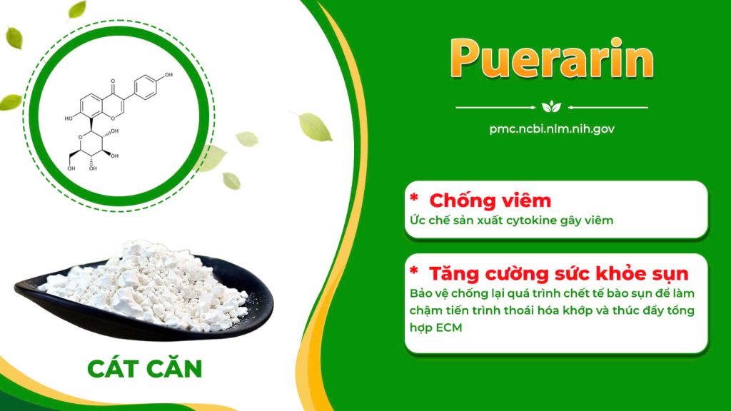 Dược phẩm PQA