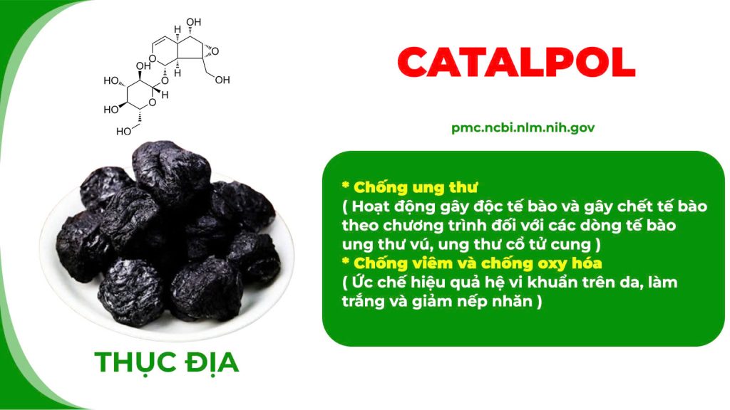 Thành phần hoá học Ngọc tố nữ