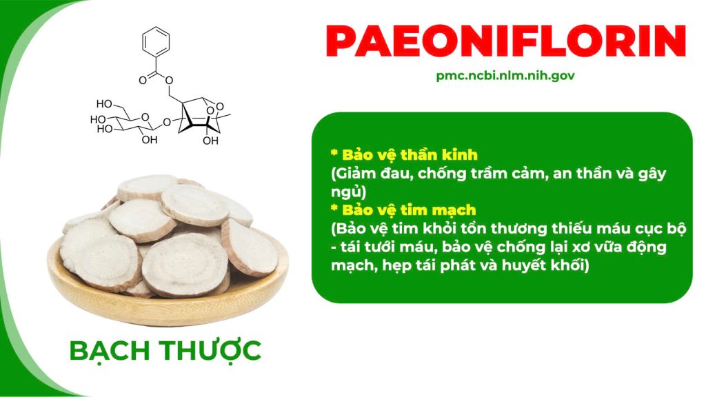 Thành phần hoá học Ngọc tố nữ